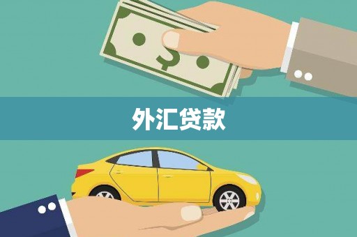 肃南外汇贷款