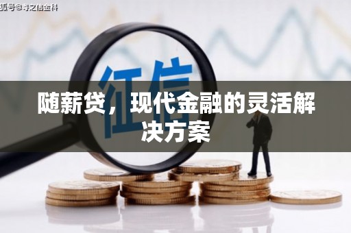 肃南随薪贷，现代金融的灵活解决方案