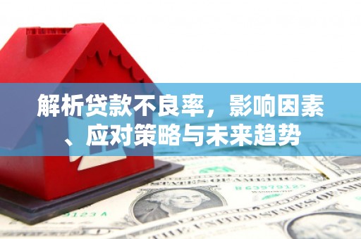 肃南解析贷款不良率，影响因素、应对策略与未来趋势