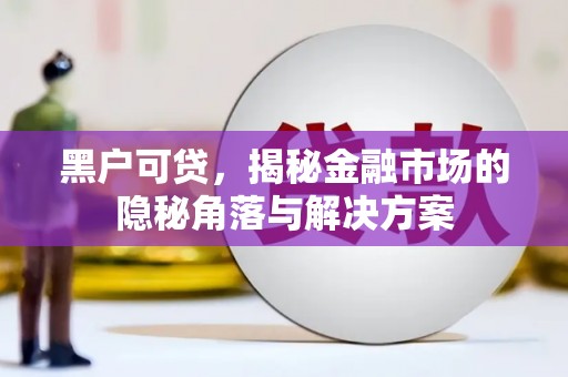 肃南黑户可贷，揭秘金融市场的隐秘角落与解决方案