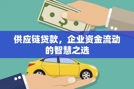 肃南供应链贷款，企业资金流动的智慧之选