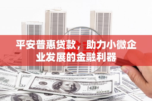 肃南平安普惠贷款，助力小微企业发展的金融利器