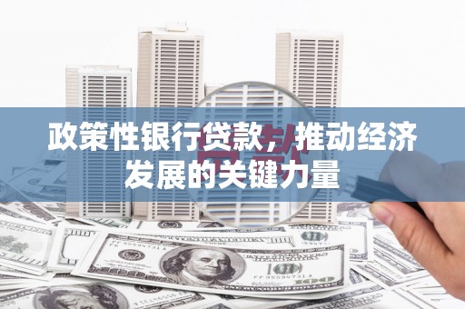 肃南政策性银行贷款，推动经济发展的关键力量