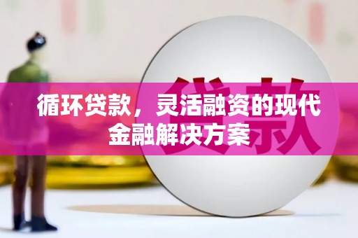 肃南循环贷款，灵活融资的现代金融解决方案