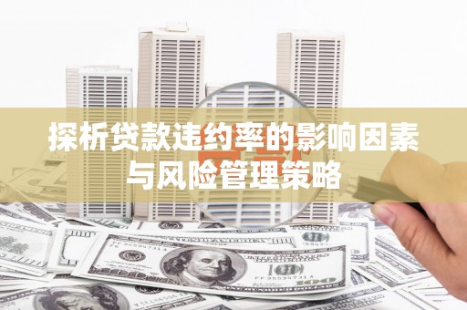 肃南探析贷款违约率的影响因素与风险管理策略