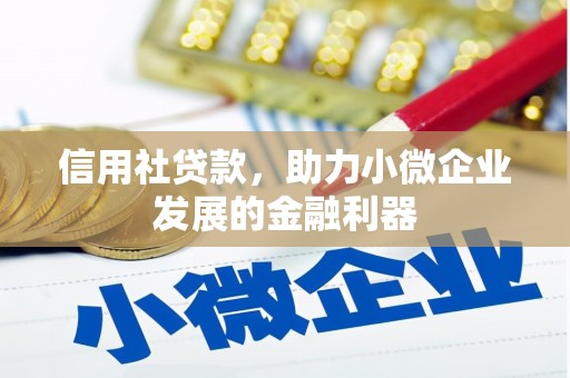 肃南信用社贷款，助力小微企业发展的金融利器