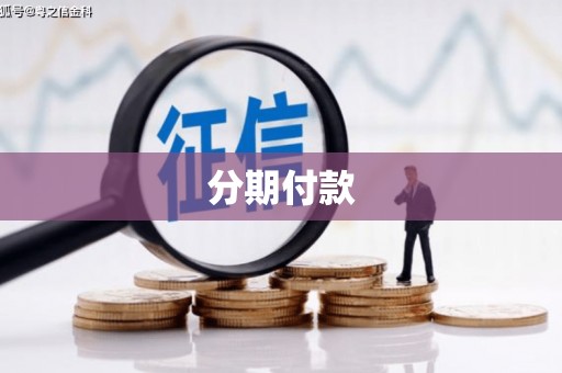 肃南分期付款