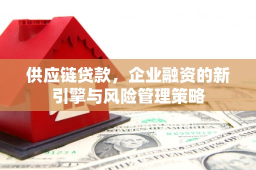 肃南供应链贷款，企业融资的新引擎与风险管理策略