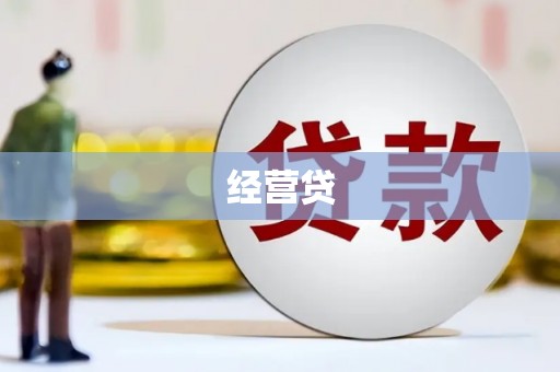 肃南经营贷