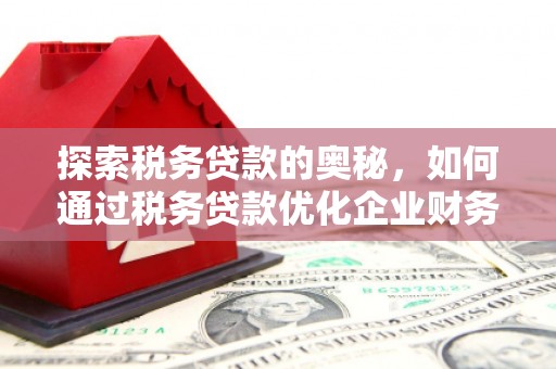 肃南探索税务贷款的奥秘，如何通过税务贷款优化企业财务