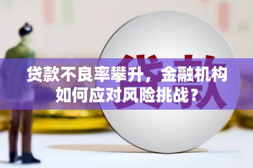 肃南贷款不良率攀升，金融机构如何应对风险挑战？