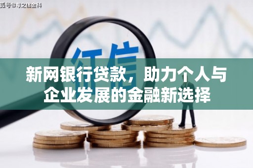 肃南新网银行贷款，助力个人与企业发展的金融新选择