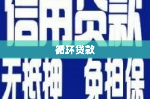 肃南循环贷款