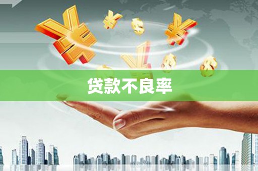 肃南贷款不良率