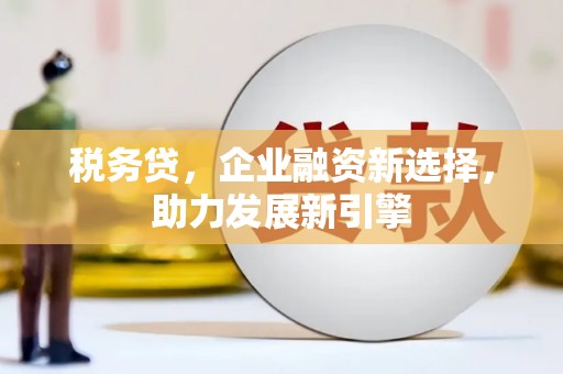 肃南税务贷，企业融资新选择，助力发展新引擎