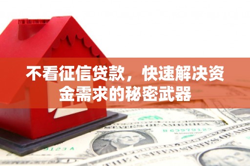 肃南不看征信贷款，快速解决资金需求的秘密武器