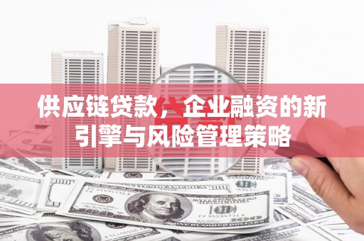 肃南供应链贷款，企业融资的新引擎与风险管理策略