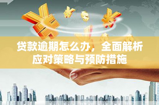 肃南贷款逾期怎么办，全面解析应对策略与预防措施