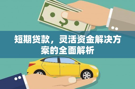 肃南短期贷款，灵活资金解决方案的全面解析