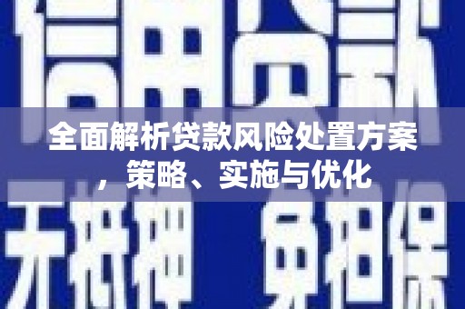 肃南全面解析贷款风险处置方案，策略、实施与优化