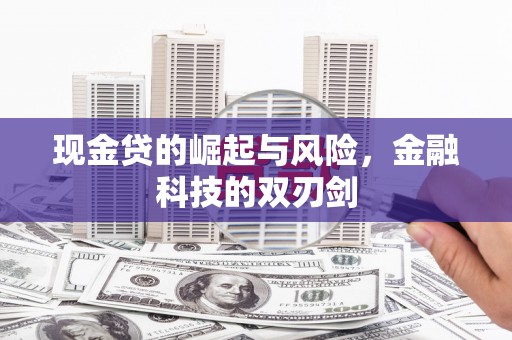 肃南现金贷的崛起与风险，金融科技的双刃剑