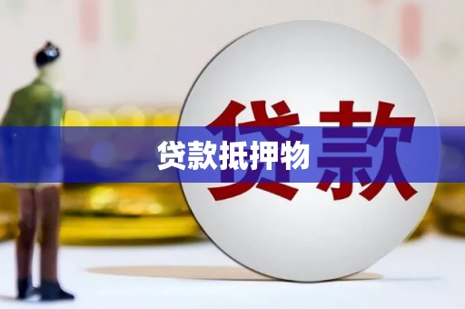 肃南贷款抵押物