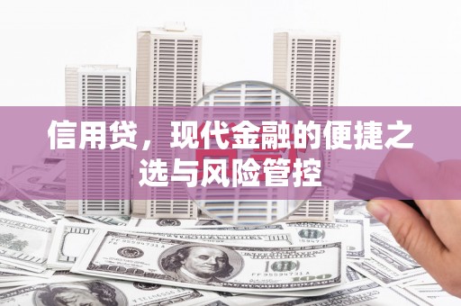 肃南信用贷，现代金融的便捷之选与风险管控