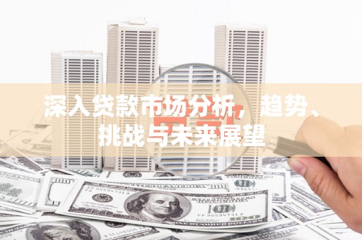 肃南深入贷款市场分析，趋势、挑战与未来展望