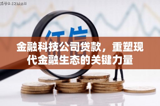 肃南金融科技公司贷款，重塑现代金融生态的关键力量