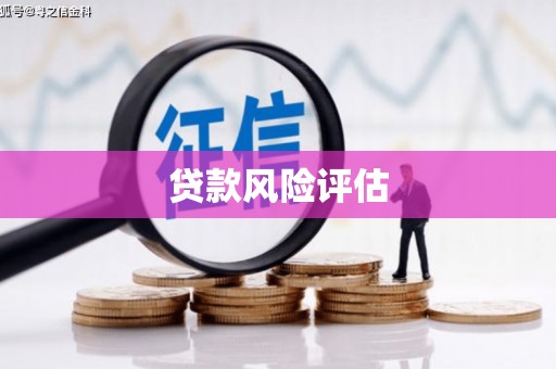 肃南贷款风险评估