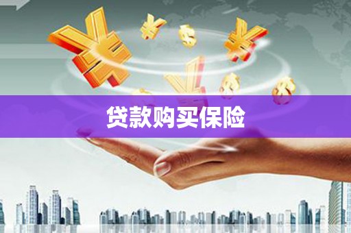 肃南贷款购买保险