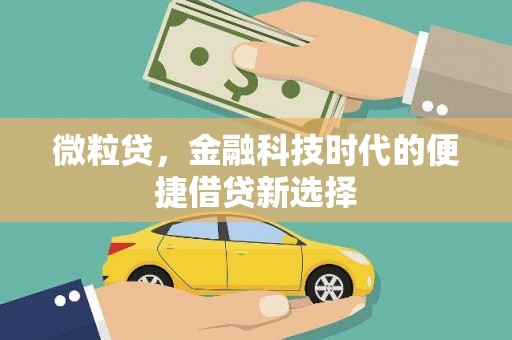 肃南微粒贷，金融科技时代的便捷借贷新选择