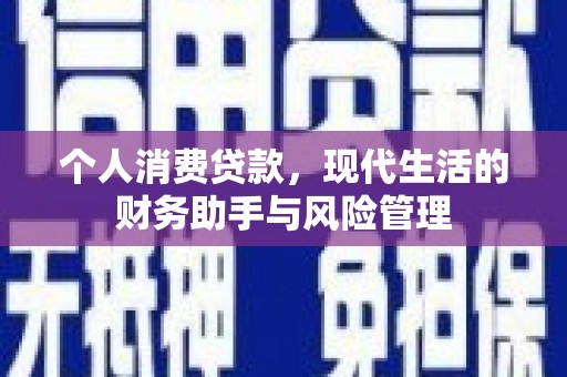 肃南个人消费贷款，现代生活的财务助手与风险管理