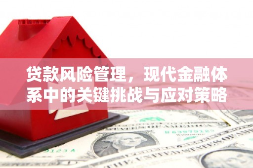 肃南贷款风险管理，现代金融体系中的关键挑战与应对策略