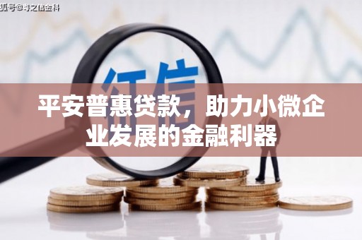 肃南平安普惠贷款，助力小微企业发展的金融利器