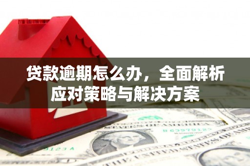 肃南贷款逾期怎么办，全面解析应对策略与解决方案