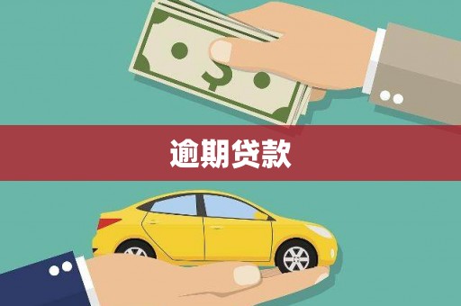 肃南逾期贷款